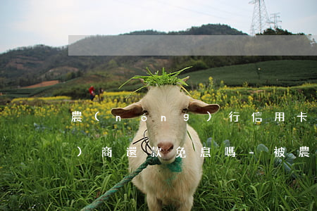 農(nóng)行信用卡起訴后協(xié)商還款免息嗎-被農(nóng)行信用卡逾期起訴就沒辦法協(xié)商了嗎
