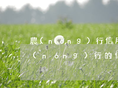 農(nóng)行信用卡透支利息多少錢(農(nóng)行的信用卡可以透支多少錢?)