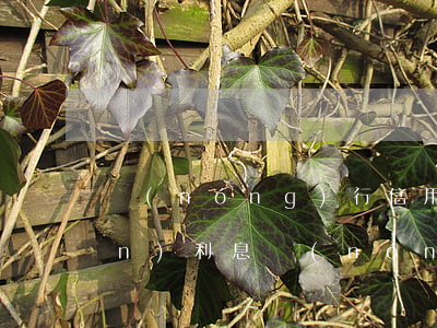 農(nóng)行信用卡透支取現(xiàn)利息(農(nóng)行信用卡透支取現(xiàn)利息)