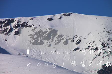 農(nóng)行信用卡透支額度多少(農(nóng)行信用卡最多可以透支多少)