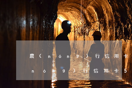農(nóng)行信用卡逾期20天-農(nóng)行信用卡5000逾期6個多月