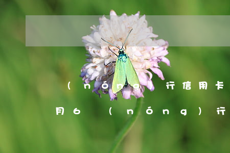 農(nóng)行信用卡逾期2個(gè)月6(農(nóng)行信用卡逾期2個(gè)月本地來(lái)電話)