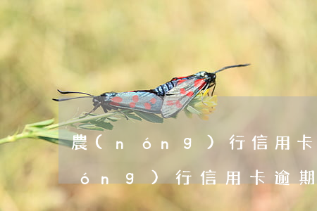 農(nóng)行信用卡逾期2個月(農(nóng)行信用卡逾期2個月,還了以后還能繼續(xù)用嗎)