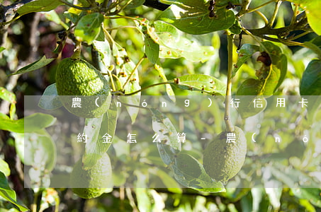 農(nóng)行信用卡逾期3天怎么辦違約金怎么算-農(nóng)行信用卡 逾期
