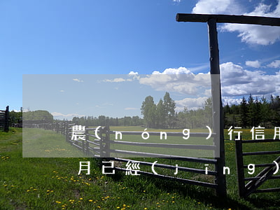 農(nóng)行信用卡逾期4個(gè)月已經(jīng)凍結(jié) 農(nóng)行信用卡逾期4個(gè)月已經(jīng)凍結(jié)了怎么辦