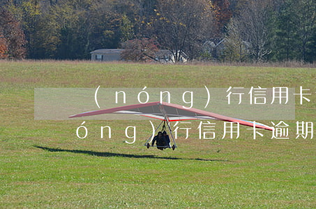 農(nóng)行信用卡 逾期4天-農(nóng)行信用卡逾期4天會不會有什么影響嗎