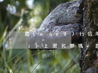 農(nóng)行信用卡逾期5天會(huì)上黑名單嗎-農(nóng)行信用卡逾期5天會(huì)上黑名單嗎怎么辦