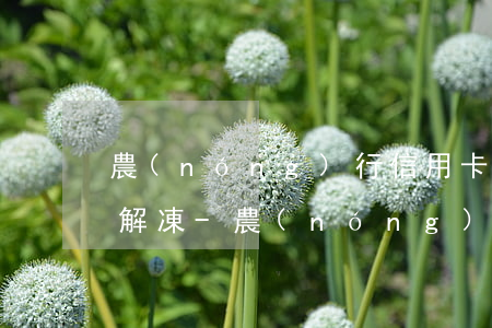 農(nóng)行信用卡逾期6個多月怎么解凍-農(nóng)行信用卡逾期6個多月怎么解凍了