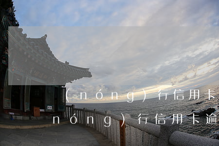 農(nóng)行信用卡逾期7000(農(nóng)行信用卡逾期70多天了可以協(xié)商還款嗎)