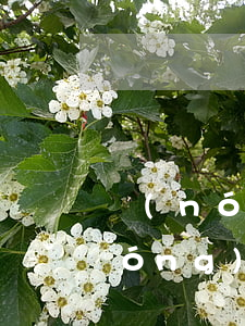 農(nóng)行信用卡逾期cd值（農(nóng)行信用卡逾期cd值）