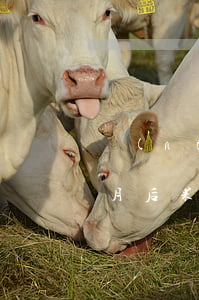 農(nóng)行信用卡逾期一個(gè)月后果(農(nóng)行信用卡5000逾期6個(gè)多月)