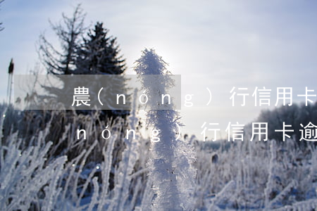 農(nóng)行信用卡逾期一個月6(農(nóng)行信用卡逾期一個月還能正常使用嗎)