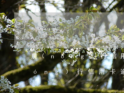 農(nóng)行信用卡逾期一兩天(農(nóng)行信用卡逾期一兩天上征信嗎)