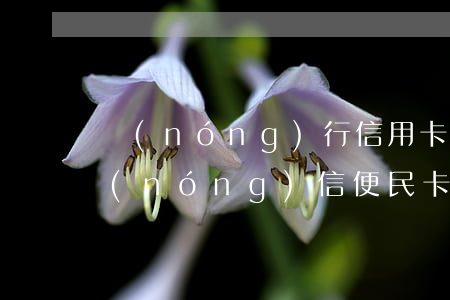 農(nóng)行信用卡逾期一周怎么辦(農(nóng)信便民卡逾期一天)