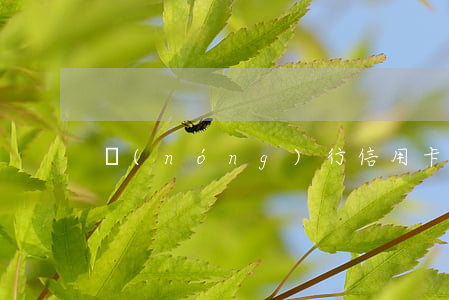 農(nóng)行信用卡逾期一天罰多少錢