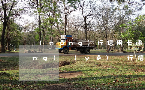 農(nóng)行信用卡 逾期一天（農(nóng)業(yè)銀行信用卡逾期律師上門(mén)）