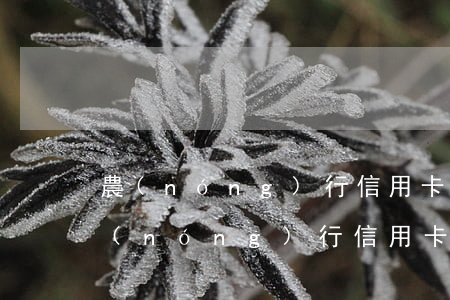 農(nóng)行信用卡逾期一直不提示(農(nóng)行 信用卡 逾期)