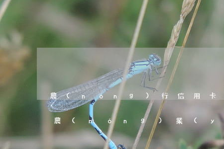 農(nóng)行信用卡逾期一萬兩年多了(農(nóng)業(yè)銀行信用卡1萬逾期一年)