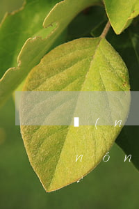 農(nóng)行信用卡逾期三年以上(農(nóng)商銀行信用卡逾期)