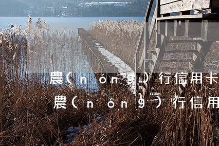 農(nóng)行信用卡逾期三年沒起訴(被農(nóng)行信用卡逾期起訴就沒辦法協(xié)商了嗎)