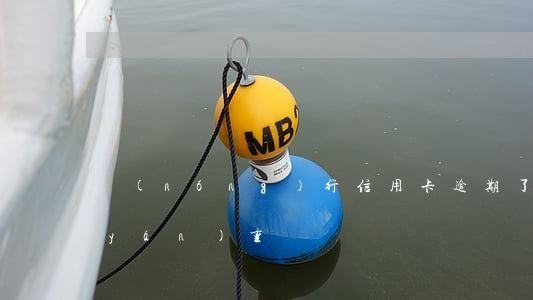 農(nóng)行信用卡逾期了10天嚴(yán)重嗎