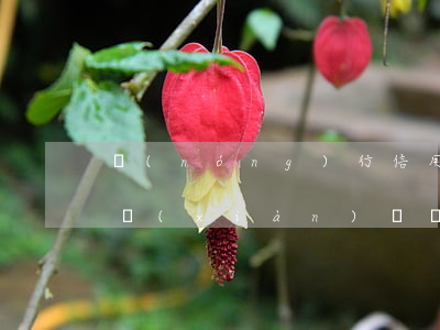 農(nóng)行信用卡逾期了一周還能取現(xiàn)嗎(農(nóng)商銀行便民卡逾期一天還能再借嗎)