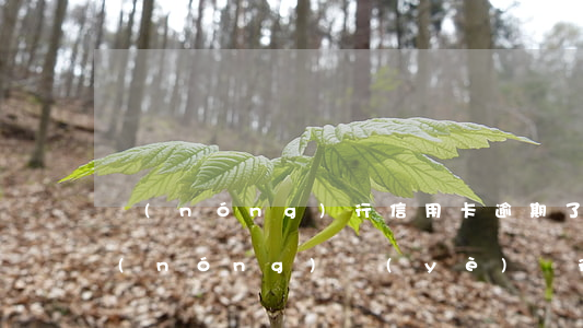 農(nóng)行信用卡逾期了怎么分期(農(nóng)業(yè)銀行逾期了銀行不給分期處理怎么辦)