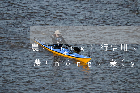 農(nóng)行信用卡逾期了還能分期嗎(農(nóng)業(yè)銀行的信用卡可以分期還款嗎)