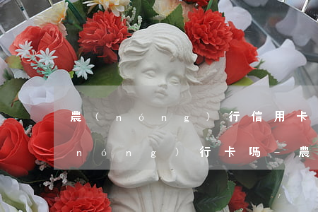 農(nóng)行信用卡逾期了還能辦農(nóng)行卡嗎-農(nóng)行信用卡逾期了還能辦農(nóng)行卡嗎