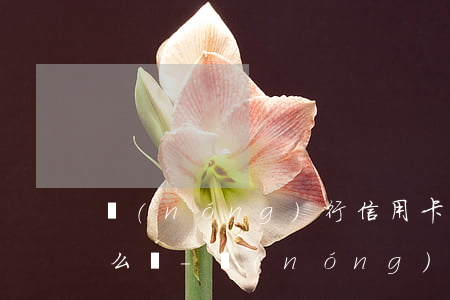 農(nóng)行信用卡逾期五個月我該怎么辦-農(nóng)行信用卡逾期五個月我該怎么辦呢