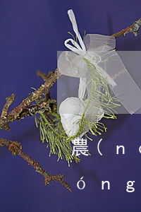 農(nóng)行信用卡逾期五天-農(nóng)行信用卡逾期五天有影響嗎