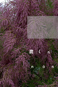 農(nóng)行信用卡逾期催款照片(農(nóng)行信用卡逾期催款照片)