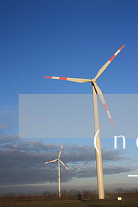 農(nóng)行信用卡逾期儲蓄卡會被凍結嗎-農(nóng)行信用卡逾期儲蓄卡會被凍結嗎怎么解凍