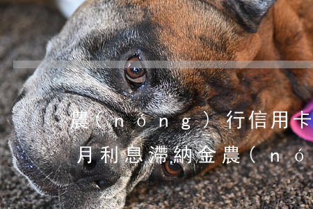 農(nóng)行信用卡逾期兩個(gè)月利息滯納金 農(nóng)商銀行信用卡逾期