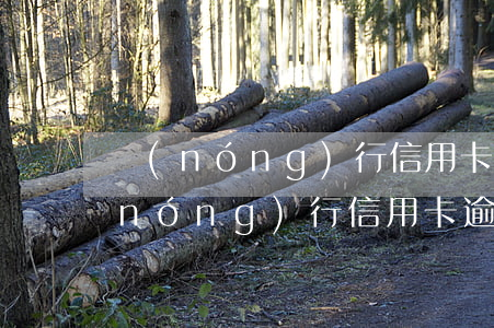 農(nóng)行信用卡逾期兩次征信(農(nóng)行信用卡逾期兩次征信多久恢復(fù))