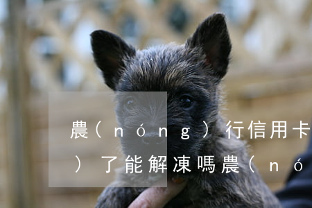 農(nóng)行信用卡逾期凍結(jié)了能解凍嗎(農(nóng)行卡逾期解凍技巧)