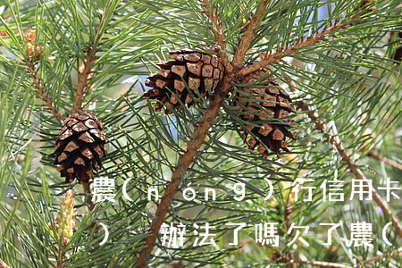 農(nóng)行信用卡逾期凍結(jié)沒辦法了嗎 欠了農(nóng)行的信用卡其他銀行卡會(huì)被凍結(jié)嗎?