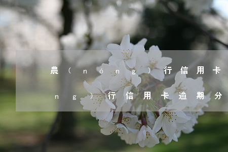 農(nóng)行信用卡逾期分期(農(nóng)行信用卡逾期分期不同意)