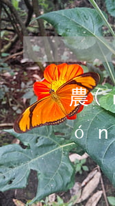 農(nóng)行信用卡逾期十八天（農(nóng)行信用卡逾期十八天）