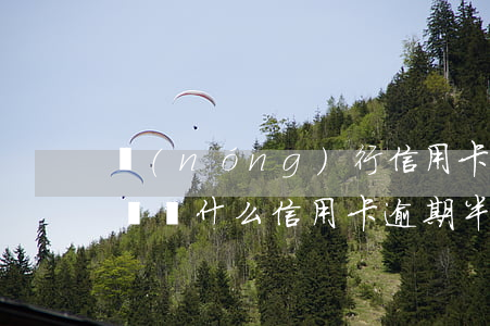 農(nóng)行信用卡逾期半年了還能用嗎(為什么信用卡逾期半年錢(qián)還了怎么還能用)