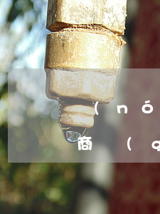 農(nóng)行信用卡逾期協(xié)商個(gè)性化分期成功的-農(nóng)行協(xié)商個(gè)性化還款流程