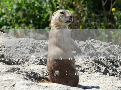 農(nóng)行信用卡逾期卡片無(wú)效(農(nóng)行信用卡逾期卡片無(wú)效怎么辦)