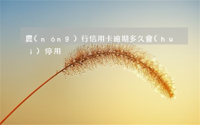 農(nóng)行信用卡逾期多久會(huì)停用