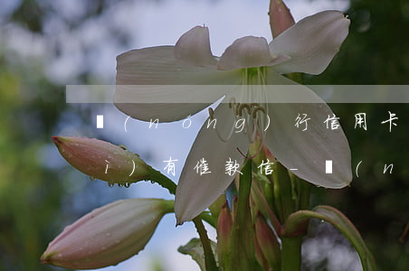 農(nóng)行信用卡逾期多久會(huì)有催款信-農(nóng)信貸款利息逾期了會(huì)怎樣
