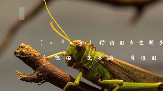 農(nóng)行信用卡逾期多久會(huì)被起訴坐牢(有沒有信用卡逾期被判刑的)