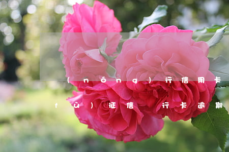 農(nóng)行信用卡逾期多久能恢復(fù)征信(銀行卡逾期還完多久可以恢復(fù)征信)