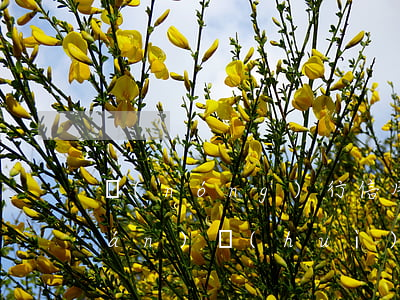 農(nóng)行信用卡逾期多少錢(qián)會(huì)被上訴(農(nóng)行信用卡逾期多少錢(qián)會(huì)被上訴起訴)