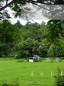 農(nóng)行信用卡逾期多少錢(qián)起訴(農(nóng)行信用卡逾期多少錢(qián)起訴)