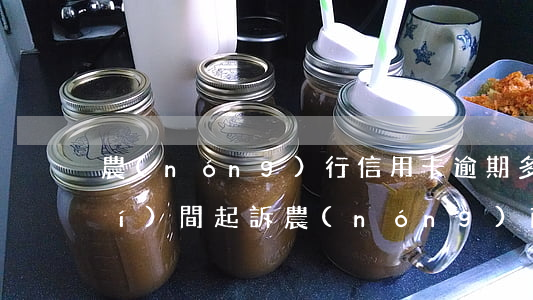 農(nóng)行信用卡逾期多長時(shí)間起訴(農(nóng)商銀行信用卡逾期)