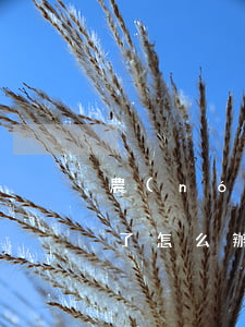農(nóng)行信用卡逾期失業(yè)了怎么辦(農(nóng)行信用卡逾期失業(yè)了怎么辦)